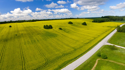 Aerial view of beautiful yellow meadows in open countryside