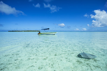 bateaux de pêche sur un lagon avec raie grise en gros plan, tahiti polynésie © Fly_and_Dive