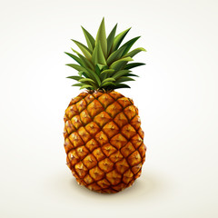 Realistic pineapple design