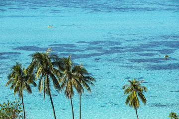 paysage de plage  tropicale, tahiti polynésie