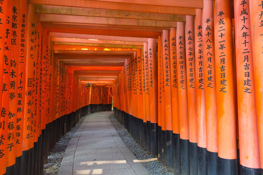 KYOTO, JAPAN – AUGUST 4, 2015 : Thousand of torii gates at Fushimi Inari Taisha Shrine. A famous historic site and tourist destination in Kyoto, Japan. (Editorial Use)