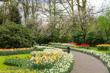 Naklejka na ściany i meble Beautiful flowers and blossom trees in a park in the Netherlands in spring