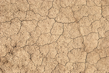Cracked clay from the heat