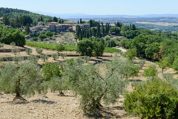 Fototapeta na wymiar Rural landscape near Castellina in Chianti on Tuscany