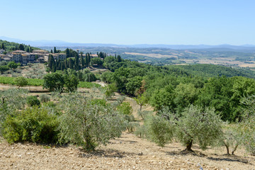 Fototapeta na wymiar Rural landscape near Castellina in Chianti on Tuscany