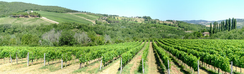 Fototapeta na wymiar Rural landscape of Chianti vineyards on Tuscany
