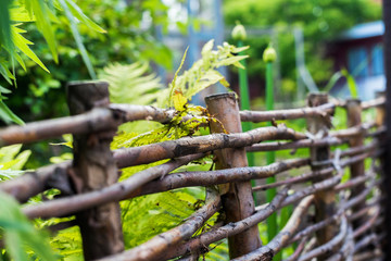 Old Wooden Rural Fence Outdoor Scene