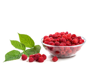 Picture with a raspberry