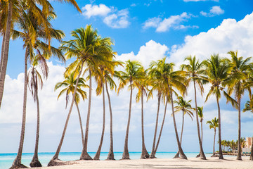 Fototapeta premium Paradise - Beautiful tropical island