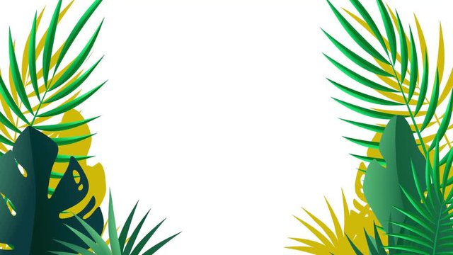 Palm leaves closeup. Motion branch. Retro tropical abstract background 2d decoration for video with alpha channel.