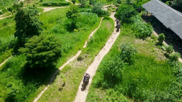 Aerial View of Tourists Riding Elephats