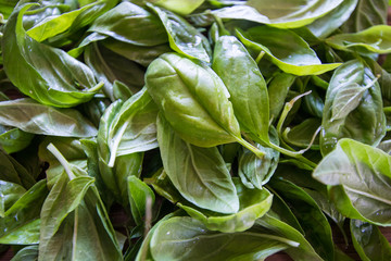 Basil leaves for preparing pesto arranged on a wooden table in the top right corner.