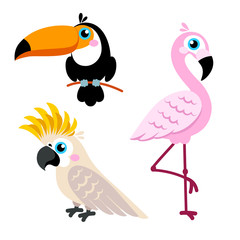 Cartoon parrots set and parrots wild animal birds isolated on white background. Vector illustration