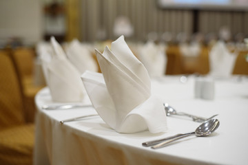 serviette on dinner