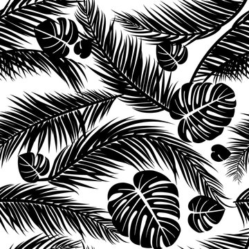 Seamless pattern with silhouettes of palm tree leaves in black on white background.Seamless Floral Background. Vector illustration