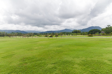 Landscape of Green lawn in a beautiful garden