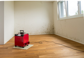 mildew and mold on an apartment wall with a red dehumidifier in the foreground