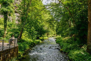 Obraz premium Forest river Kamenice, Bohemian Switzerland National Park, Czech Republic