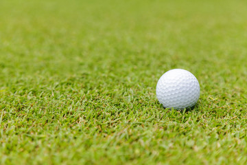 Golf ball on green grass on golf course