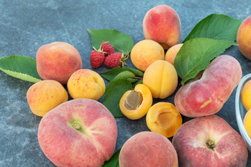 Apricot, Raspberry, Peach and Nectarine with Leaves