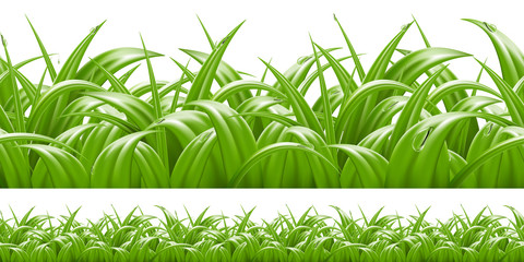 Summer green grass seamless border, 3d vector realistic illustration