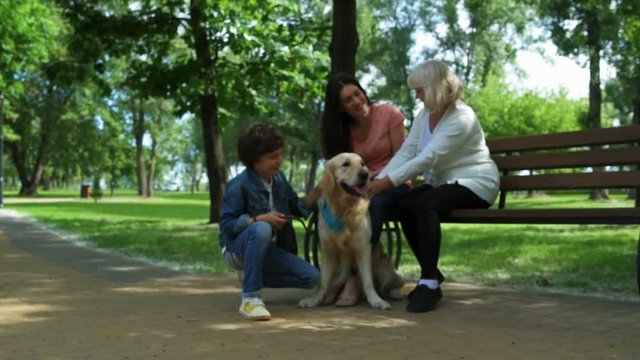 Positive family resting in the park with their dog