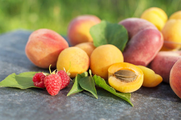 Apricot, Raspberry, Peach and Nectarine with Leaves