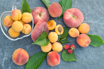 Apricot, Raspberry, Peach and Nectarine with Leaves