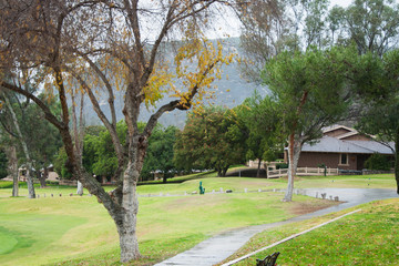 Center Park