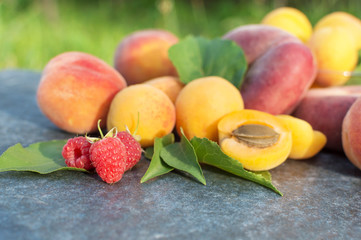 Apricot, Raspberry, Peach and Nectarine with Leaves