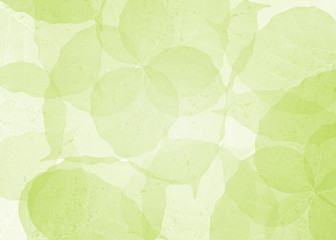 Abstract background of green leaf pattern background