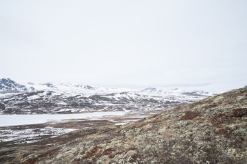 The Gol Mountain Area