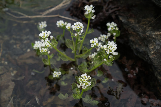 Sykkylven bilder Bläddra bland 58 stockfoton, vektorer och videor