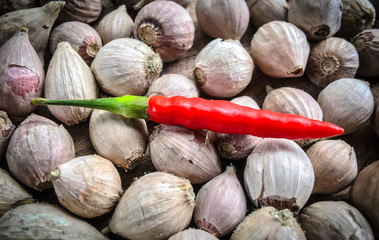 Fresh red hot chilli on garlics background