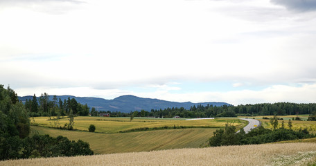 Obraz premium Road in Norway