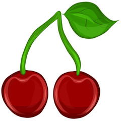 Two juicy cherries