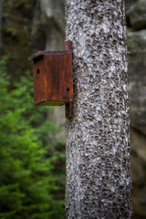 Bird House