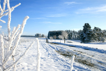 Winter