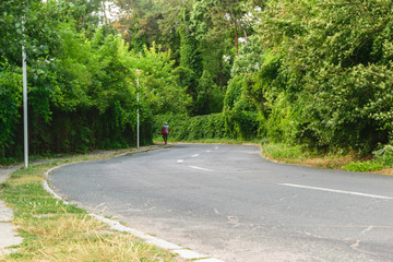 Fototapeta premium unrecognizable man walking on the road with green lush vegetation