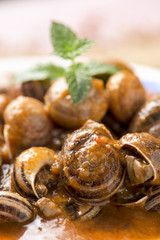 spanish caracoles en salsa, cooked snails in sauce