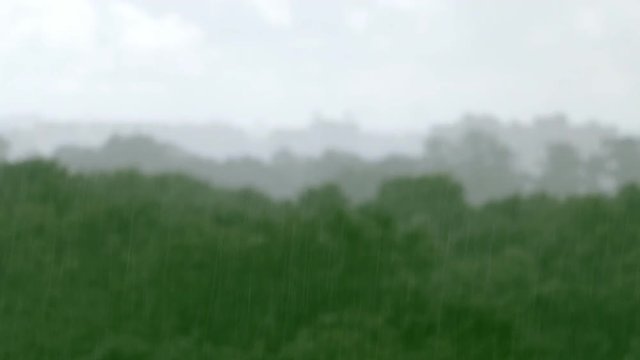 Aerial view on heavy rain above the green forest trees. Rainfall. Soft focus. Nature background.
