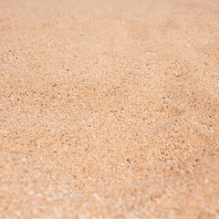 Beach sand as background.  Yellow and brown Grain Sandy texture close up .