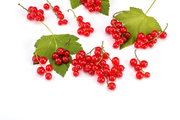 Ripe red currant isolated on white