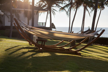 Гамаки на зеленом газоне. © elenagrigorieva