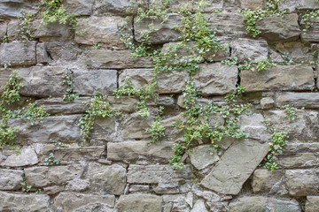 Old stone wall with leaf