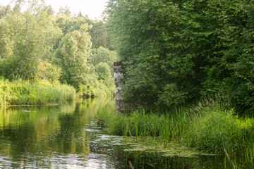 Fototapeta na wymiar A beautiful, relaxing summer landscape of a riverside. Vibrant rural scenery.