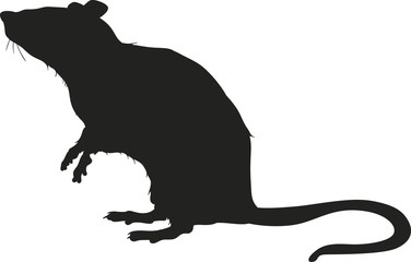 Vector silhouette of a rat