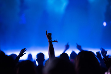Fototapeta premium Rear view of crowd with arms outstretched at concert