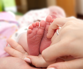 Infant heels in  mother's hands