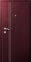 Obraz premium Entrance door (metal door)